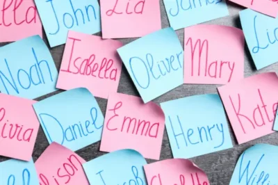 isim analizi raporları