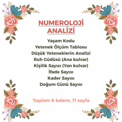 numeroloji analizi